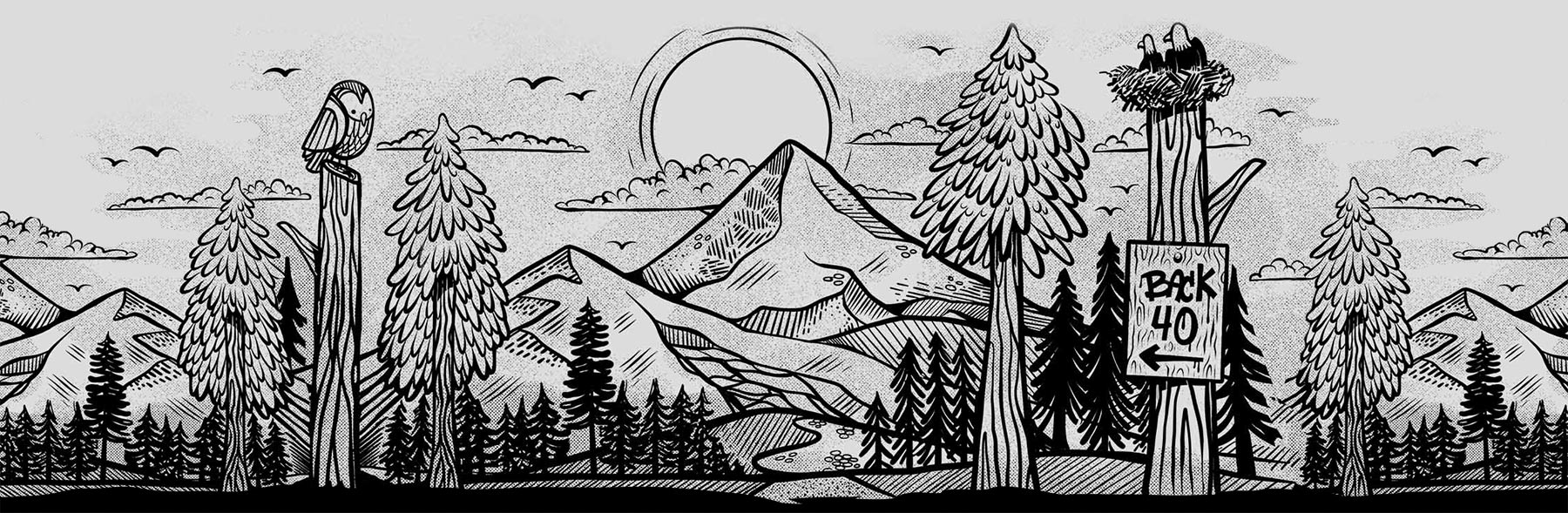 back40_illustration1 back 40 illustration